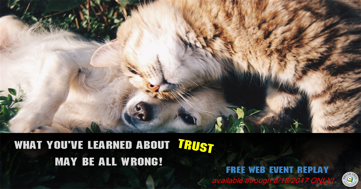 Build Trust with the CONNECT Cycel